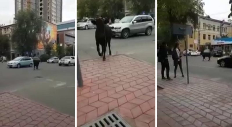 Кадры из видео