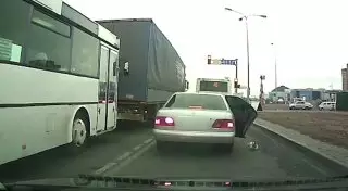 "Мы думали, это мусор". Попытка избавиться от кота в Астане попала на видео