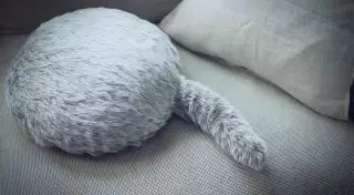 Японцы нашли замену домашним питомцам