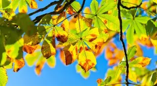 Дальнейшее потепление ожидается в Казахстане