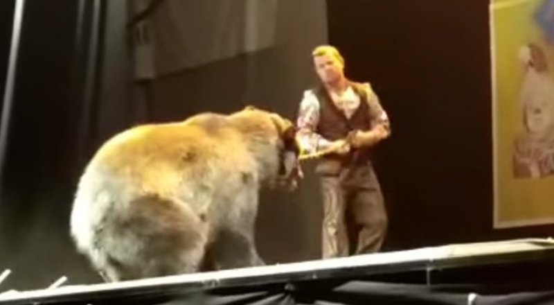 Кадр из видео