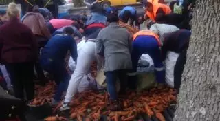 Saebiz. Морковку рассыпали в центре Алматы