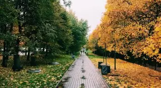 Казахстанцев предупредили о похолодании и мокром снеге 