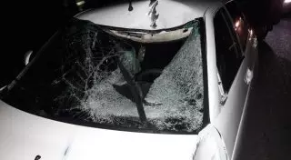 Мужчину насмерть сбили около пешеходного перехода в Алматы