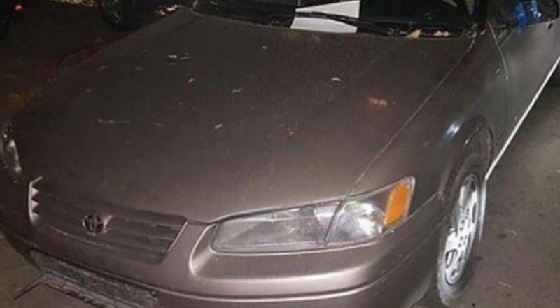 Фото: ‎Улпана Утепова