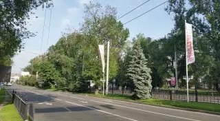 Пешеходную зону расширят по улице Желтоксан в Алматы