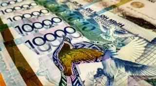 "300 тысяч тенге в год". Министерство хочет уточнить понятие "самозанятые"