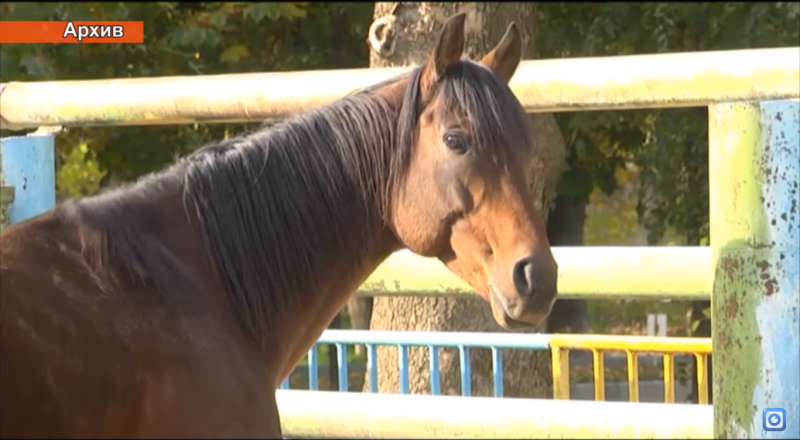 Кадр из видео