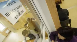 Сколько разрешений на работу в Казахстане выдали иностранцам