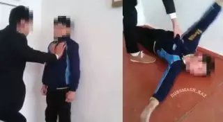 "Собачий кайф" в школе: МОН РК проверяет видео из Сети