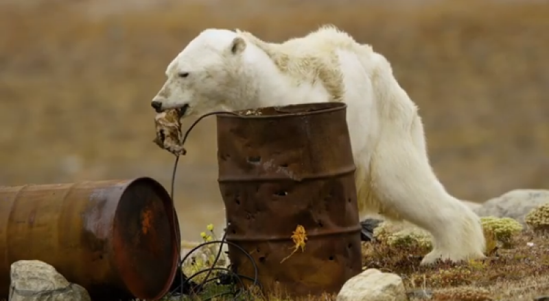 Кадр из видео