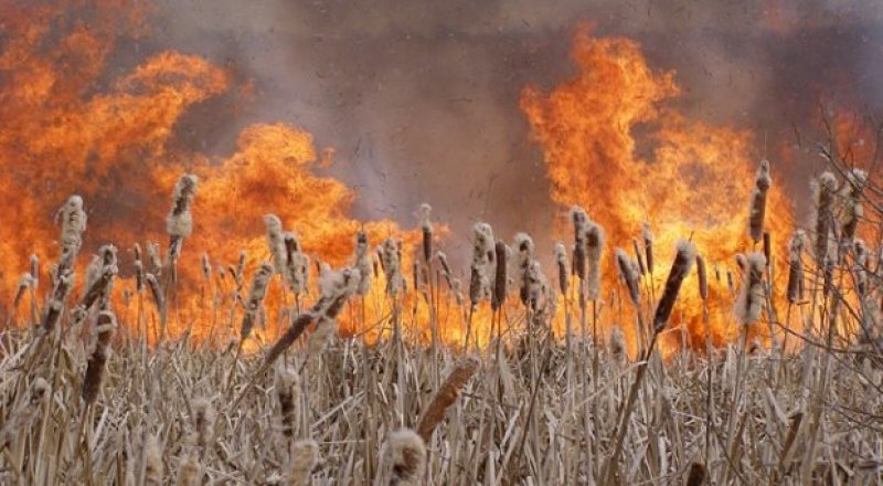 Фото с сайта kurs.od.ua