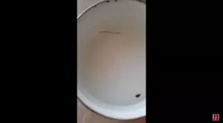 Жительницу Актау шокировала находка в воде из-под крана