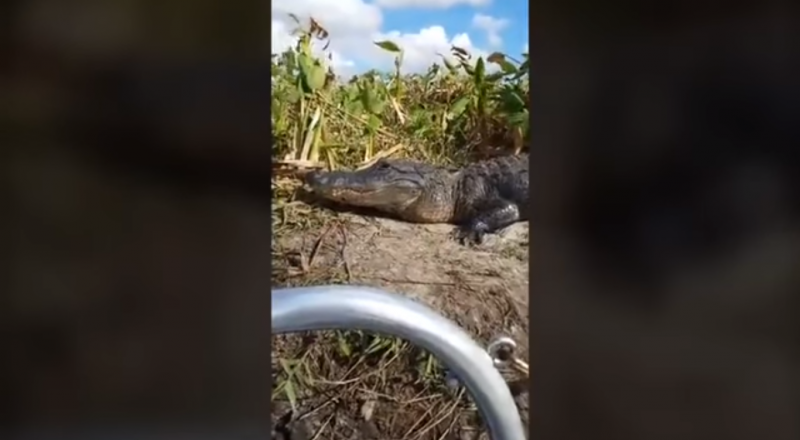 Кадр из видео