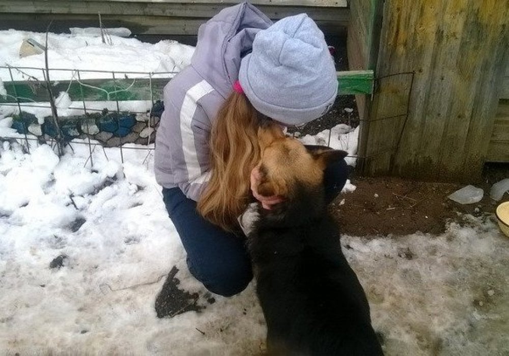 14-летняя девочка открыла приют для собак: 2018-01-12 17:39:13 - прочитайте