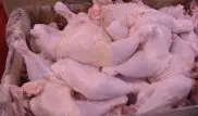 Эксперты признали курятину из России опасной для жизни