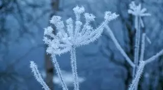 15 человек стали жертвами холодов в Бишкеке