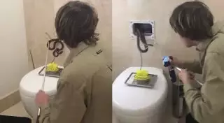 Змея заставила австралийскую семью поверить в призраков в унитазе