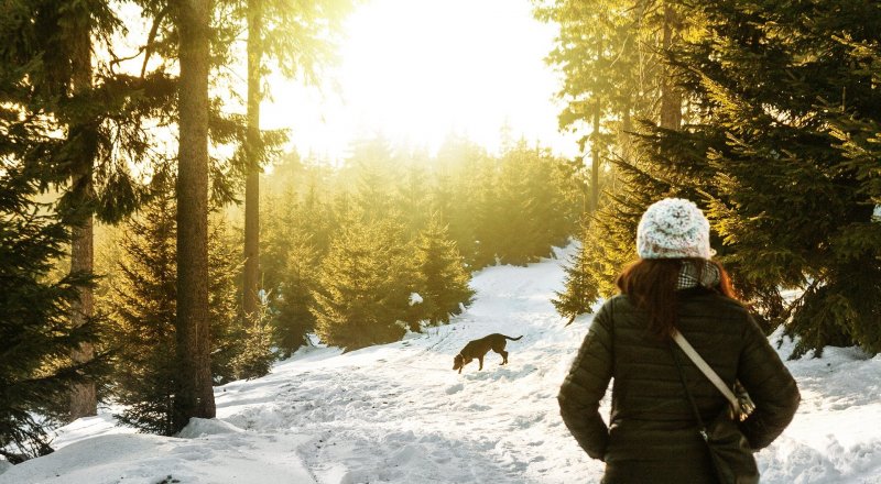 Иллюстративное фото с сайта pexels.com