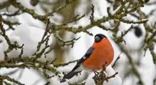 Насколько похолодает в Казахстане в ближайшие дни