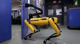 "Мы все умрем": как робособаки напугали СМИ и пользователей соцсетей