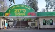 Питомцев зоопарка Алматы выпустят гулять вместе с посетителями