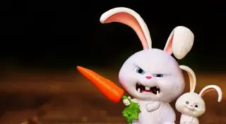 Как научиться никогда не злиться