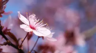 Какая будет погода в выходные в Казахстане