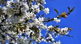 В Казахстане ожидается кратковременное прекращение осадков