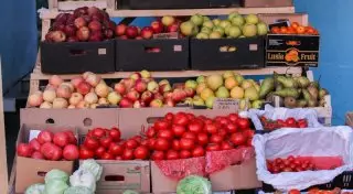 "Завалены продуктами, но не нашими". Депутат раскритиковал МСХ и акиматы