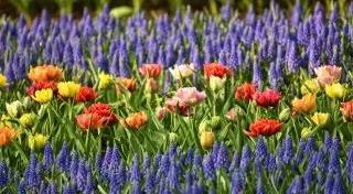 О погоде в Алматы в мае рассказали синоптики