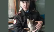 Полицейские спасли кота и нашли ему работу в Павлодаре
