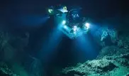 Ученых шокировала находка на дне Марианской впадины