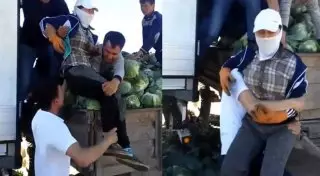 Видео с похищением продавщицы капусты пояснили в ДВД ЮКО