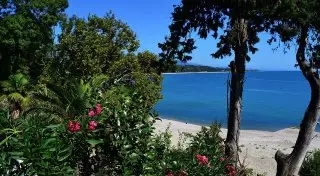 Путеводитель: душевная Абхазия