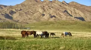 Сакральные места Сары-Арки: скалы Бектау-ата и горный массив Улытау