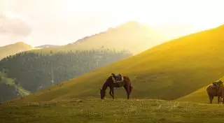 Горный туризм: прогулка по альпийским лугам Казахстана