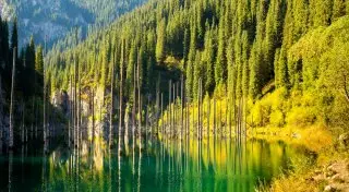 Затонувший лес озера Каинды