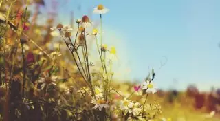 Какая погода будет в июле в Казахстане