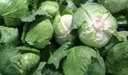 Капуста "страшно" подорожала в Казахстане