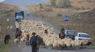 Фото с сайта narodna-pravda.ua