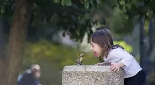 Почему без воды человек не может прожить более 7 дней