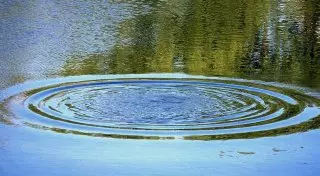 26-летняя нетрезвая девушка утонула в реке Тобол