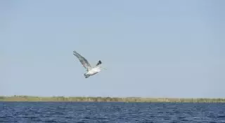 Озеро Шалкар - Жемчужина Приуралья
