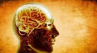 Найден безопасный способ лечения болезни Альцгеймера