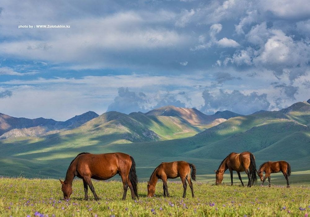 Завораживающий летний Казахстан в снимках отечественных фотографов: 2018-08-06 12:49:09 - прочитайте