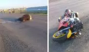 Мотоциклист врезался в корову и умер