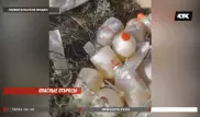 Флаконы с опасной вакциной выбросили у дороги в Алматинской области
