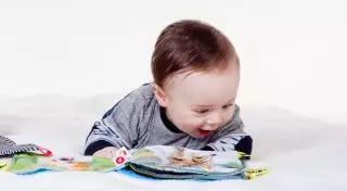 Воспитательная среда влияет на развитие структур головного мозга