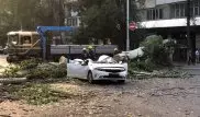 Огромное дерево рухнуло на авто в Алматы